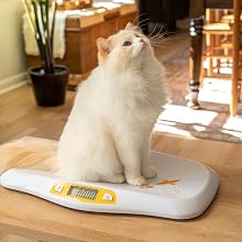 Secure Weighing