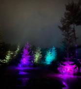 color changing solar spotlights