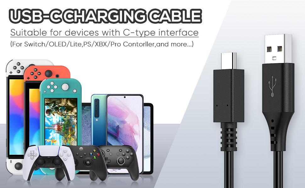 Nintendo Switch charger