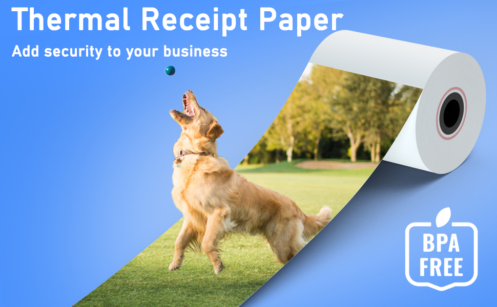 Receipt Paper Rolls