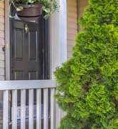 ceilling hooks for hanging plants
