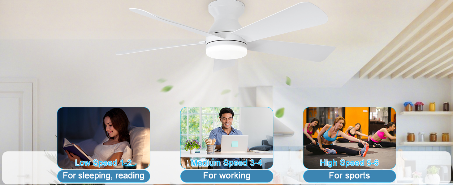 flush mount ceiling fan