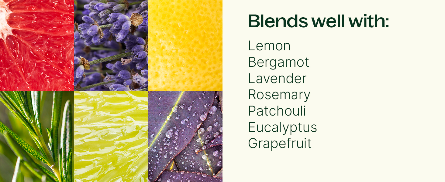 blends