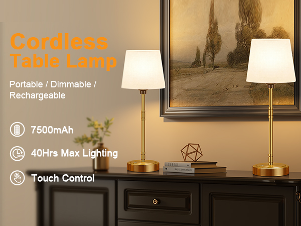 cordless table lamp for living room