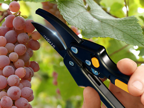 Fruit Pi