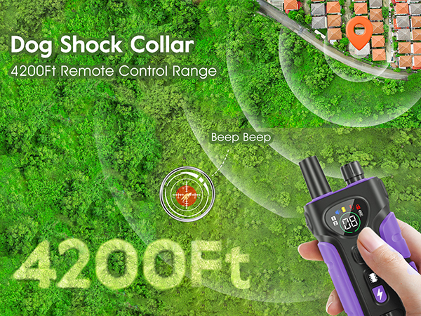 shock collar