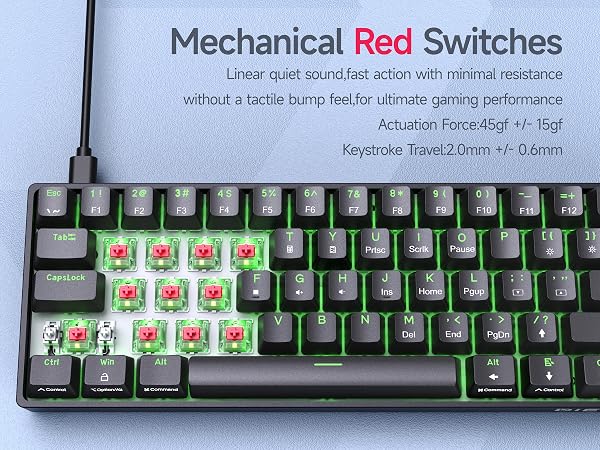 DK61SE- Red Switch