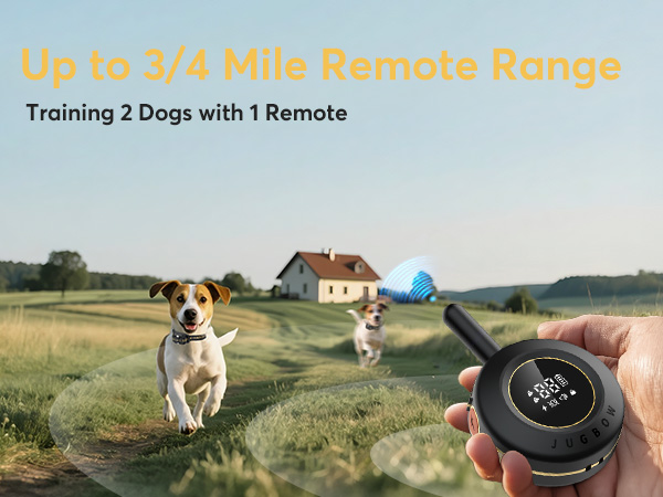 dog training collar with remote