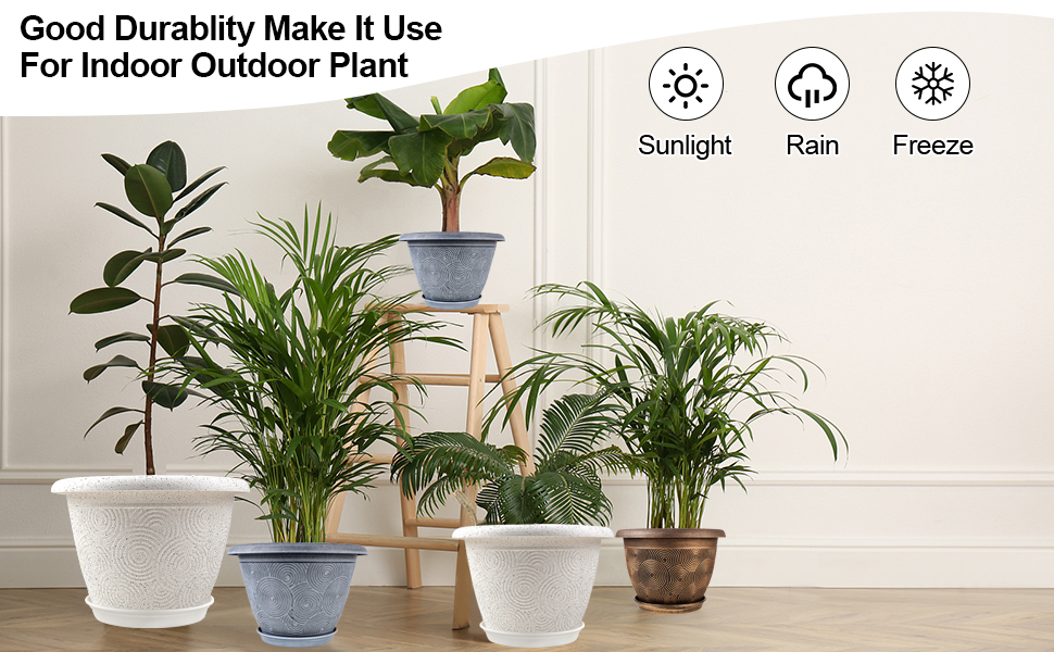 plant pot