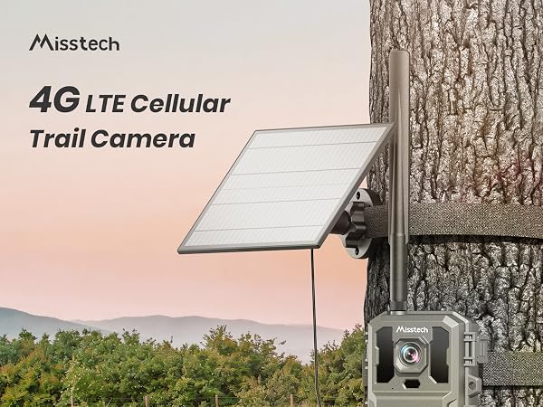 cellular wildlife camera