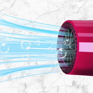 Professional Ionic Hair Dryer