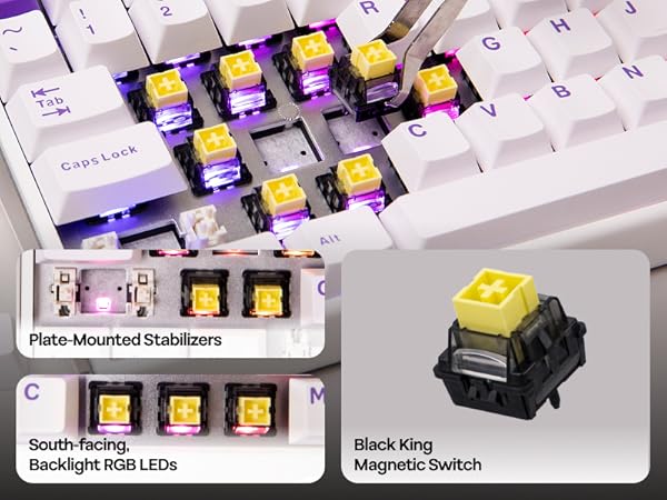 Hero84 HE White Purple