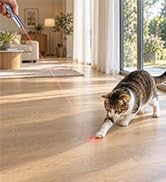 cat toy