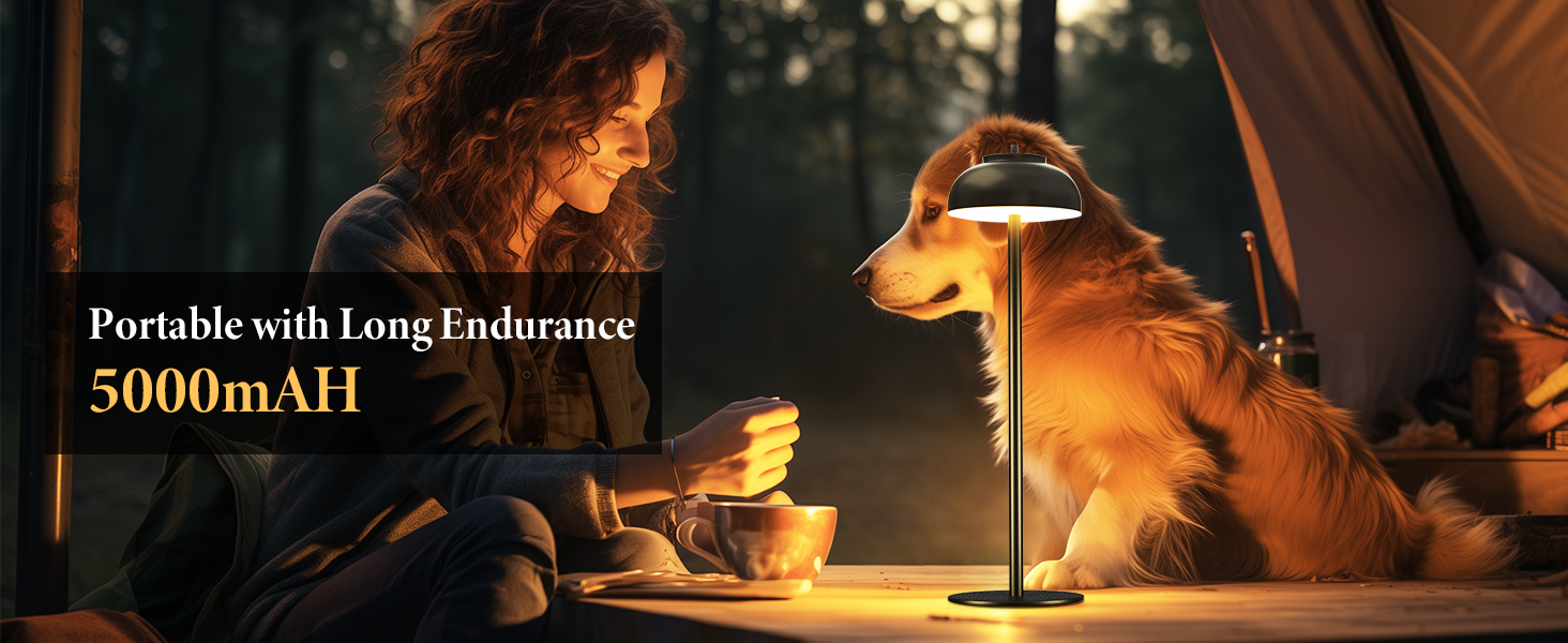 rechargeable table lamp cordless