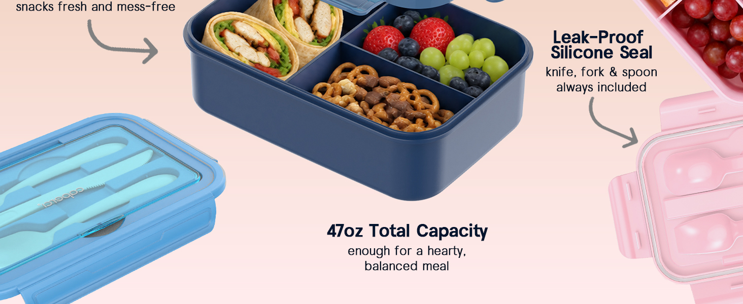 bento lunch box for kids