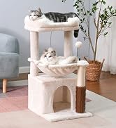 cat tree