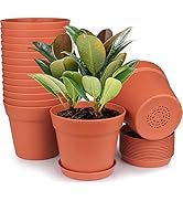 HOMENOTE Pots for Plants, 15 Pack 6 inch Plastic Planters with Multiple Drainage Holes and Tray -...