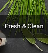 fresh and clean