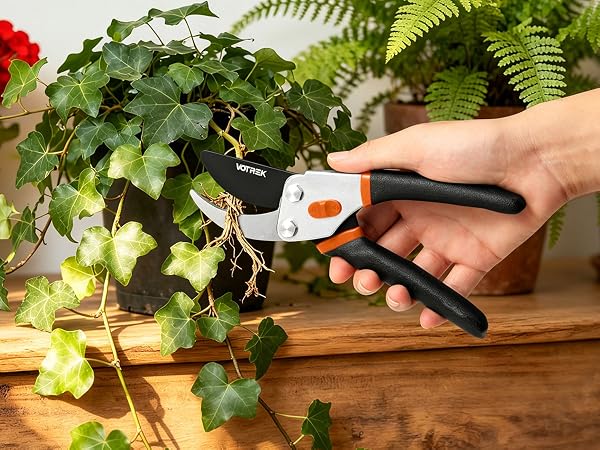 clippers for gardening