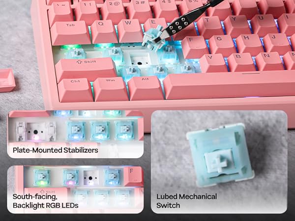Pink mechanical keyboard with transparent blue switches. Close-up shows plate-mounted stabilizers, south-facing RGB LEDs, and a lubed mechanical switch with visible stem and housing.