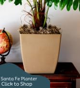 SantaFe