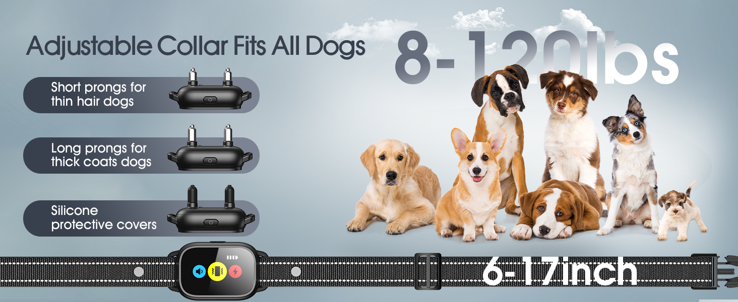 dog training collar