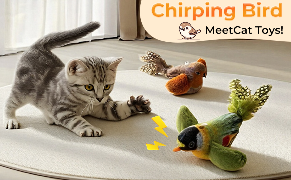 2-pack catnip cat toys that stimulate indoor cats