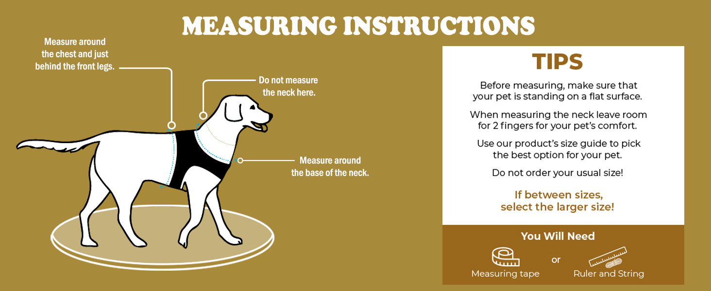 dog harness for small dogs