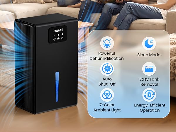 dehumidifiers for home