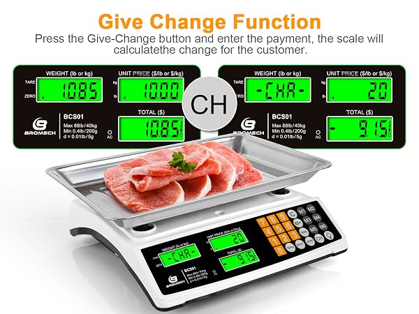 Commercial food scale