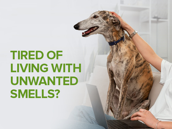 Odor Eliminator