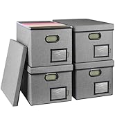 BALEINE File Organizer Box with Lid, Collapsible File Folder Organizer with Plastic Slide, Filing...