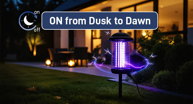 ON from Dusk to Dawn