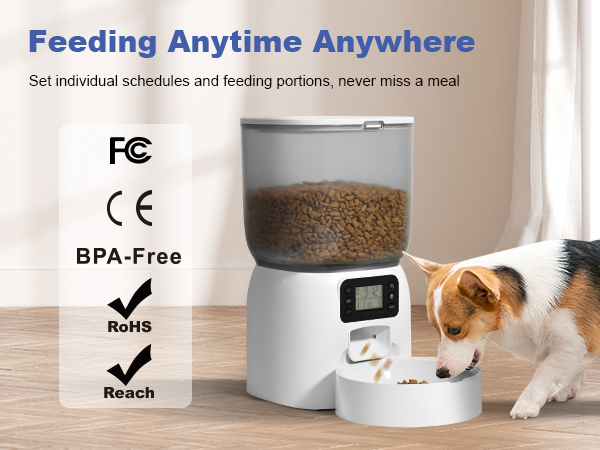 automatic cat feeder