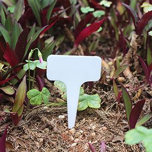 Nursery Garden Labels