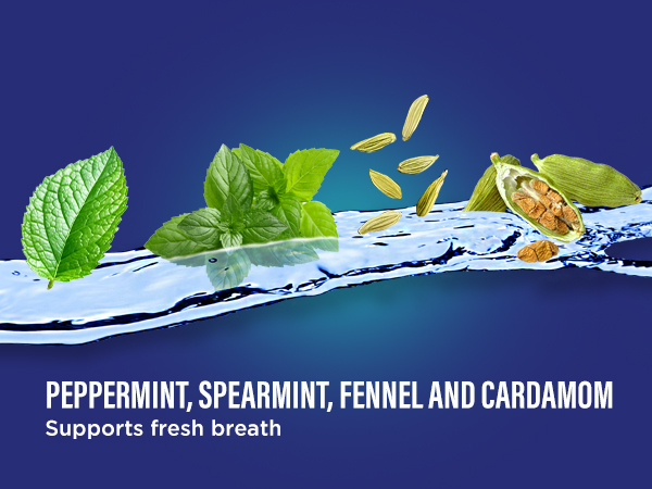 Dual Barrel Ingredients - Peppermint