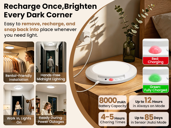 rechargeable battery operated ceiling light