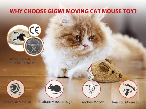 cat toys interactive