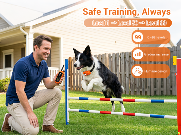 dog training collar with remote
