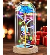 Otlonpe Preserved Artificial Rose Flower Lamp, Forever Women Gifts for Birthday Christmas Valenti...