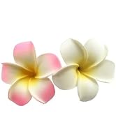 2Pcs 7cm Flower Hawaiian Frangipani Plumeria Clips and Barrettes Foam Head Flower Party Beach Hai...