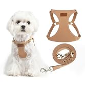 PUPTECK Dog Harness and Leash Set Small Sized, Step-in Cute Puppy Harness, Soft Lightweight Padde...