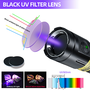 Professinoal Grade Filtering UV 365NM Light