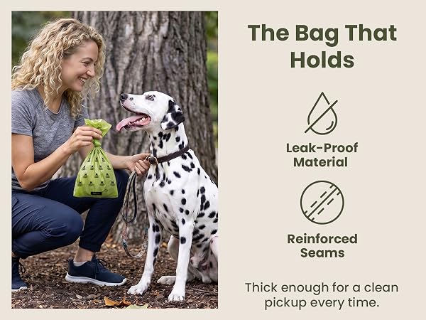 The Bag that holds