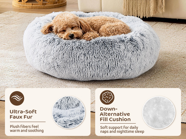 dog beds