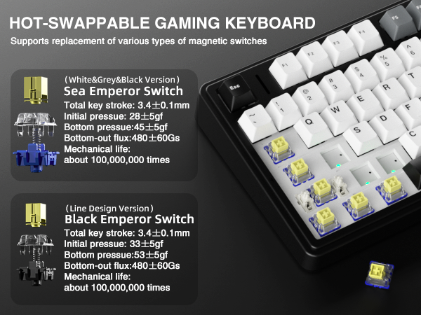 Hall Effect magnetic switches Hot Swappable Keyboard mechanical keyboard for gamer