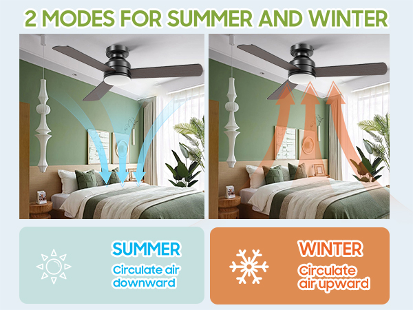 Ceiling Fan for Bedroom