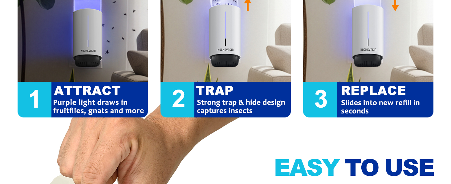 gnats trap