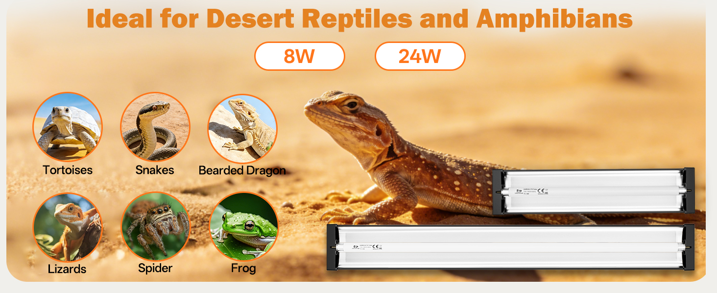Bearded Dragon Tank Accessories, Tortoise Habitat, Desert Reptile Lighting.
