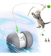 Oxawo Cat Toys Interactive with Strong Power Fast Rolling on Rug, Motion Activated Cat Toys Robot...